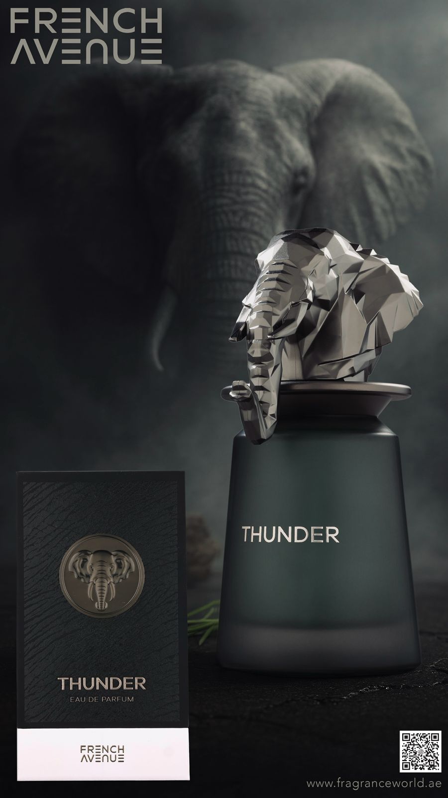 Thunder FRENCH AVENUE