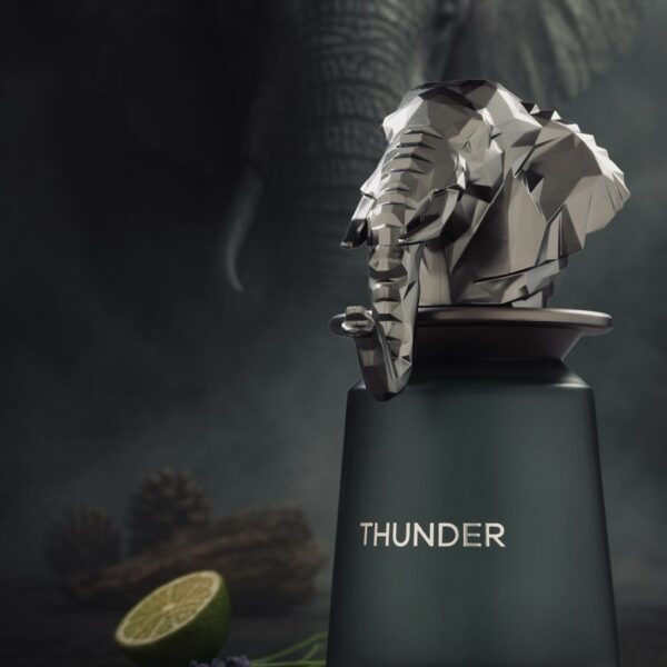 Thunder FRENCH AVENUE