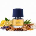 Lumiere Garcon FRENCH AVENUE